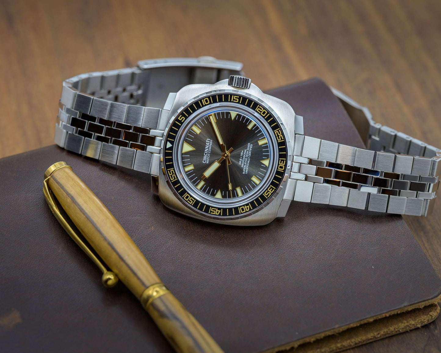 Desk Diver Professional Dive Watch 